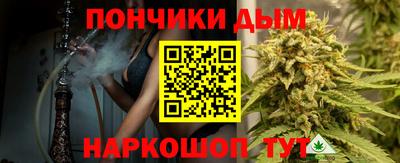 стаф Дубна