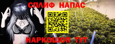 стаф Дубна