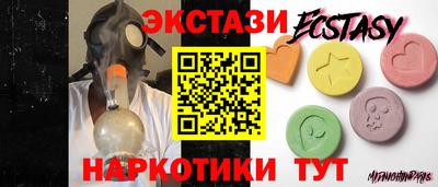 стаф Дубна