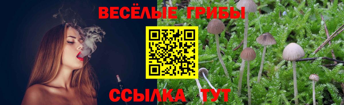 Истра  Псилоцибиновые грибы Psilocybine cubensis  хочу   Галлюциногенные грибы GOLDEN TEACHER  Вход с VPN 